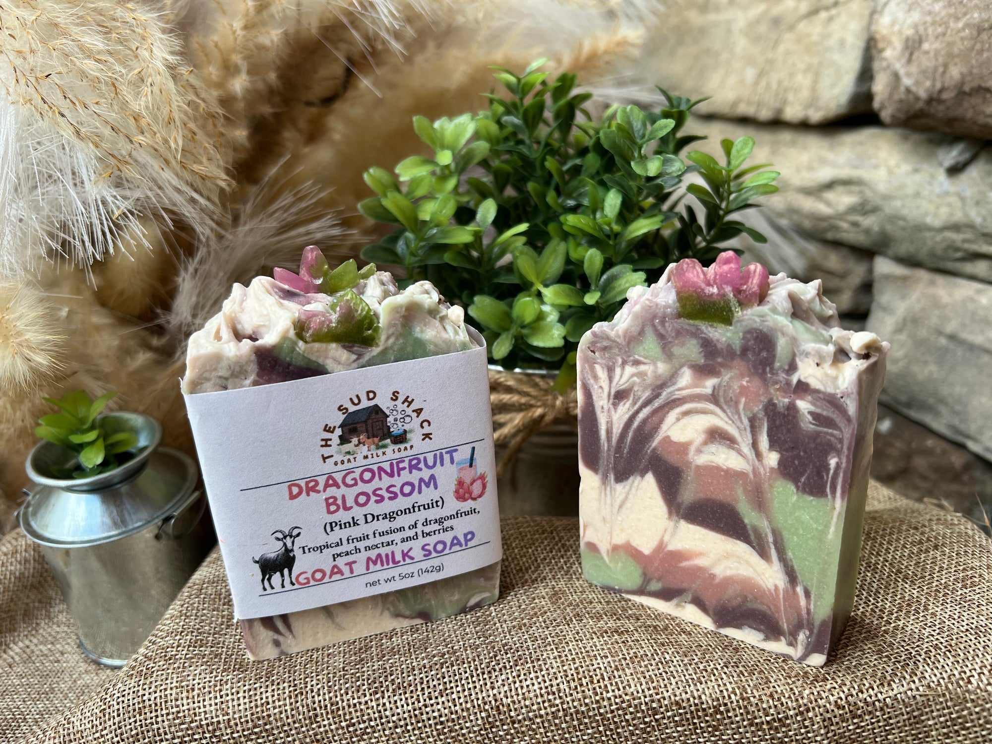 Two goat milk soaps with decorative elements on a textured surface, surrounded by plants and stones.
