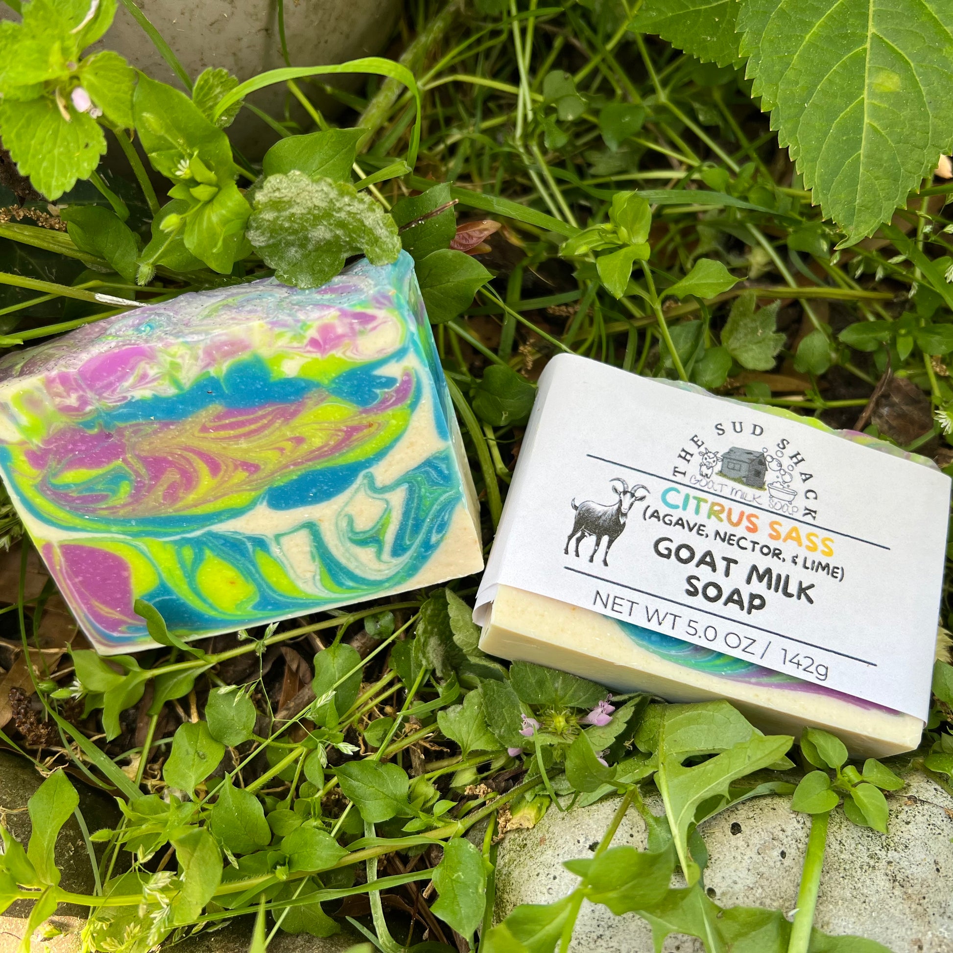 Two bars of soap, one colorful and one labeled 'Citrus Sass', on a grassy background.