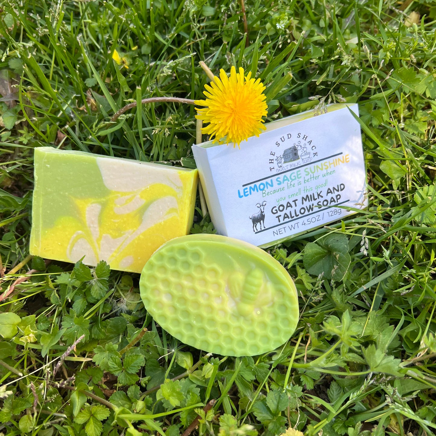 Three bars of soap on grass with a dandelion, featuring 'The Sud Shack' branding.