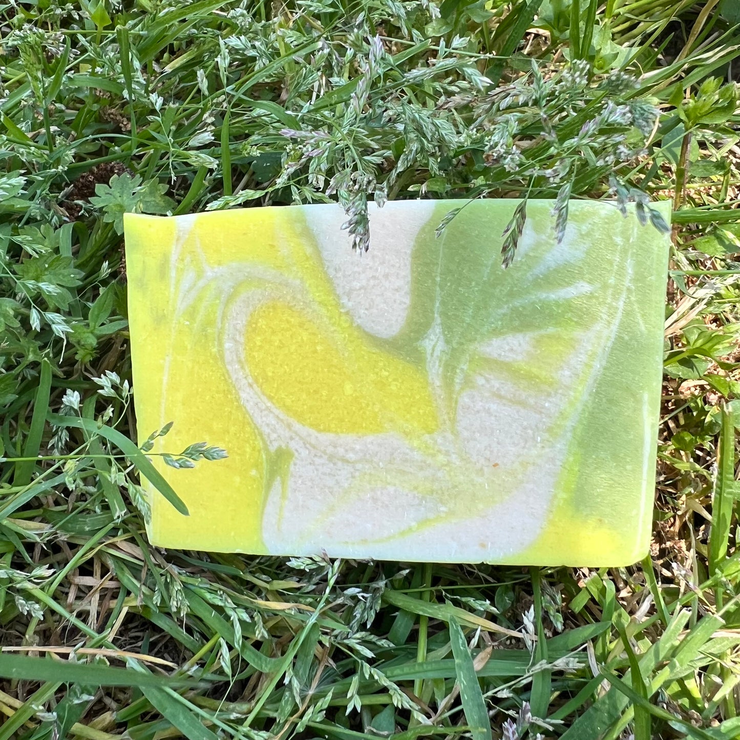 Bar of soap with a swirled design on grass