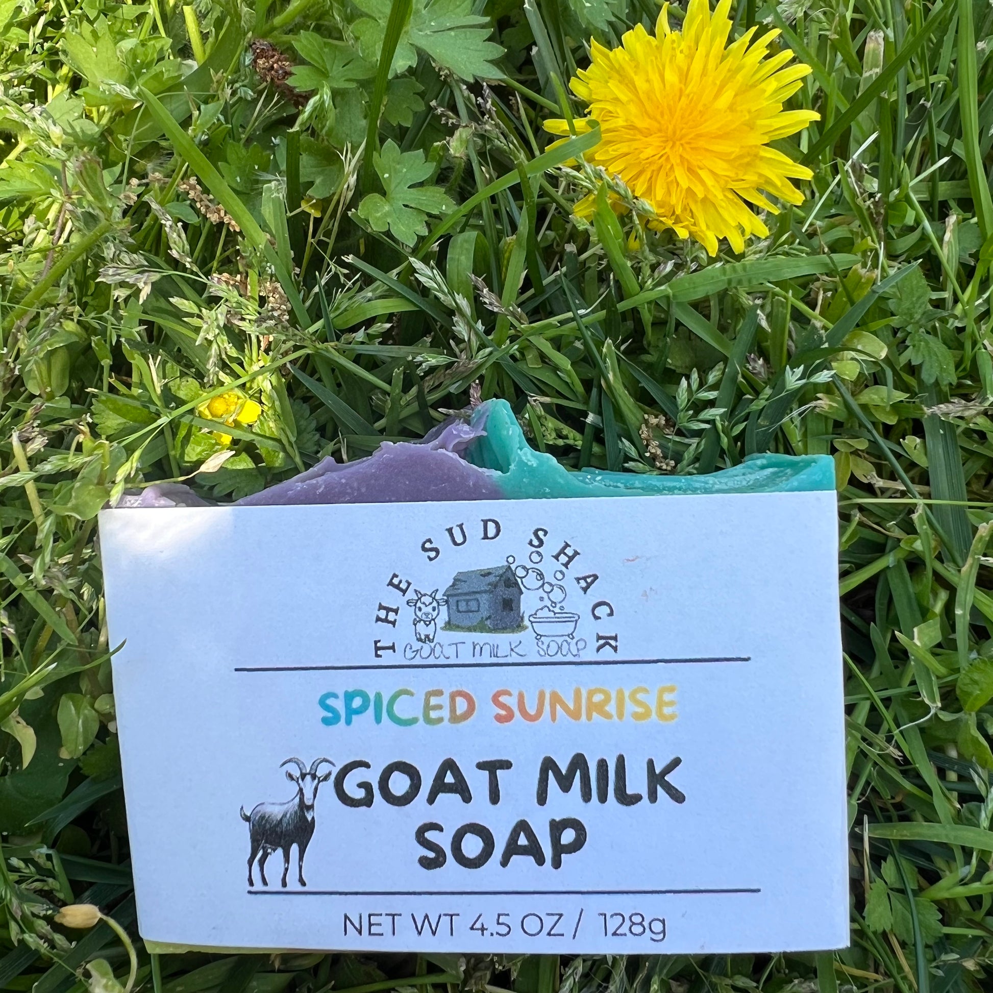 Goat milk soap bar with 'The Sud Shack' branding on grass with a dandelion.
