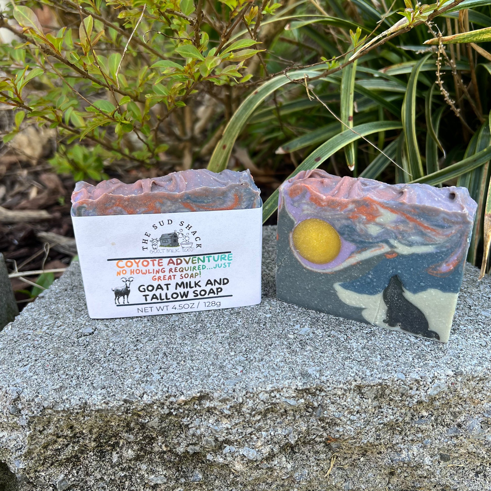 Two soap bars on a stone surface with greenery in the background