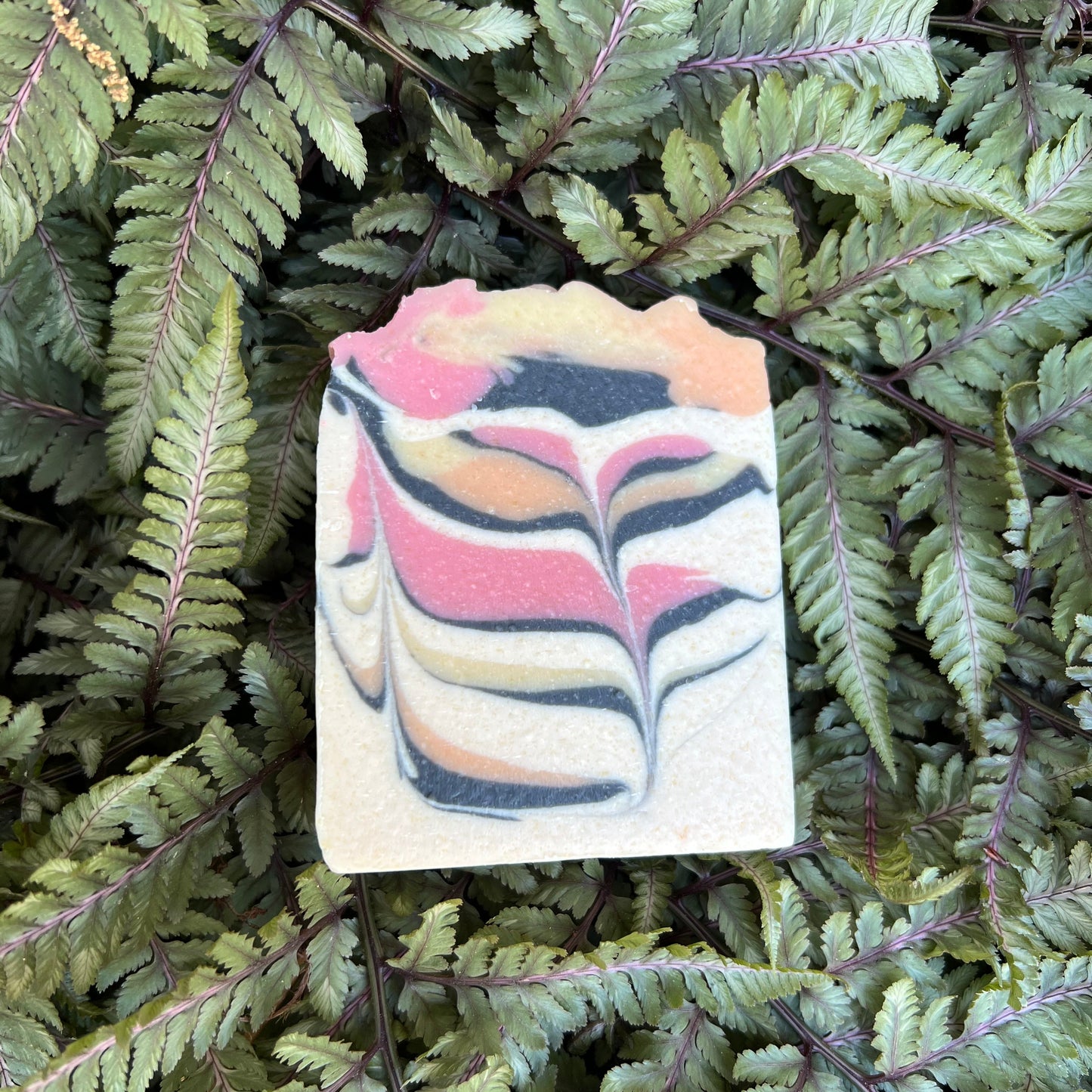 Colorful soap bar with a swirled pattern lying on green fern leaves