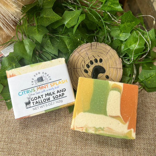 Two bars of soap with labels on a textured surface with greenery