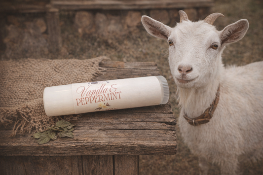 Goat standing next to a 'Vanilla & Peppermint' lip balm product on a wooden surface