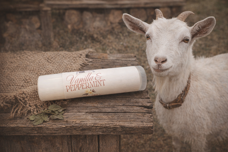 Goat Milk Lip Balms